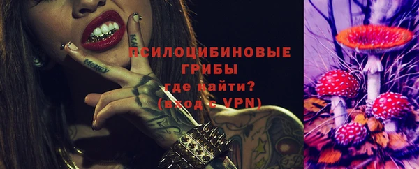 герыч Новодвинск
